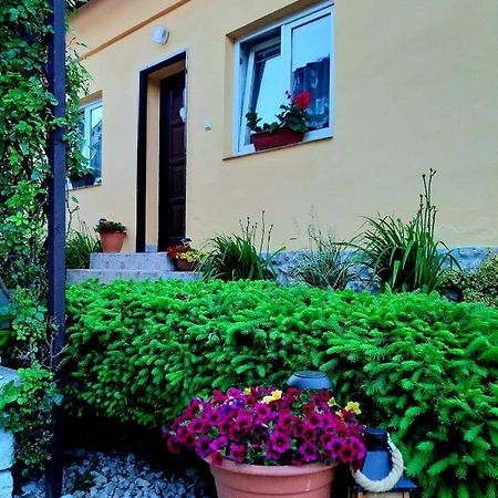 Rekreacny Domcek Judka Villa Imrikfalva Kültér fotó