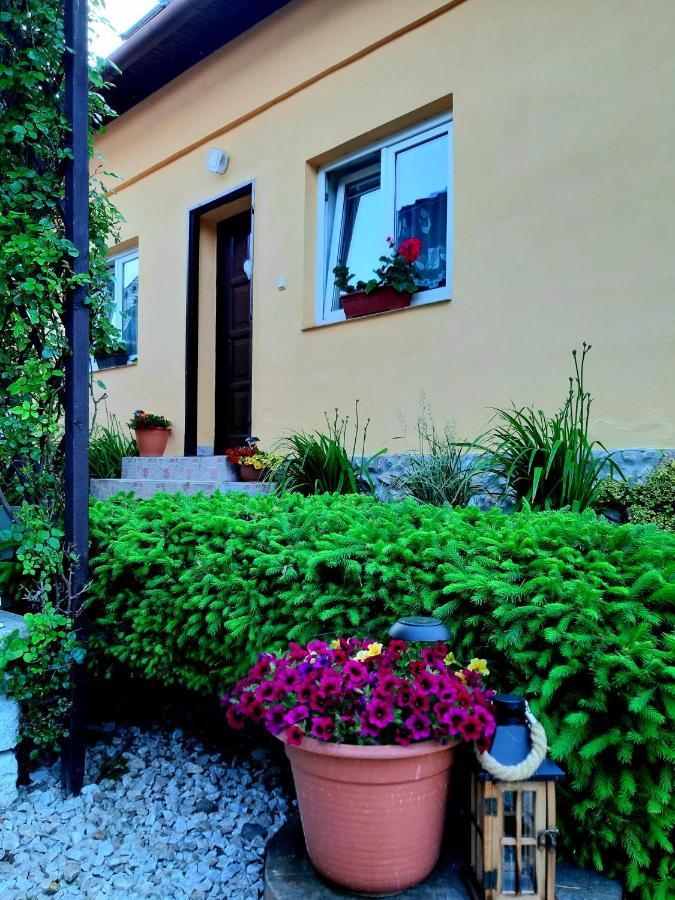 Rekreacny Domcek Judka Villa Imrikfalva Kültér fotó